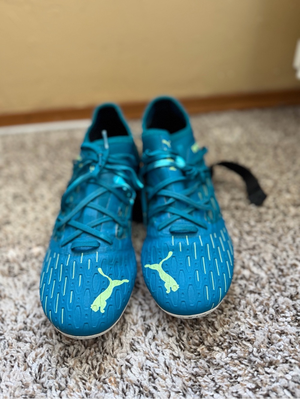 Puma Future 6.3 NETFIT FG AG Soccer Cleats Mens 10 Aqua Blue Green 106189-07